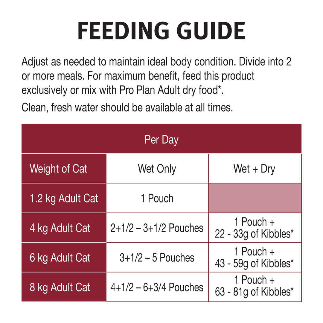 Cat 2024 feeding plan